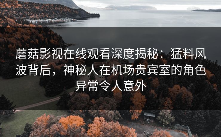 蘑菇影视在线观看深度揭秘：猛料风波背后，神秘人在机场贵宾室的角色异常令人意外