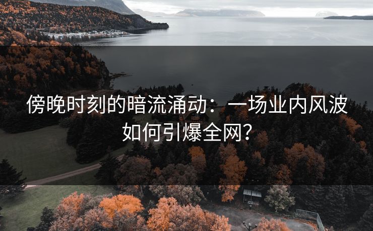 傍晚时刻的暗流涌动：一场业内风波如何引爆全网？
